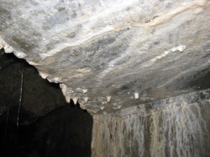 Lawson Adit Survey 007 Baby Stalactites - Aww, Aren't They Precious?