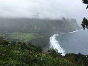 The Waipio Valley in its lush and drizzly glory