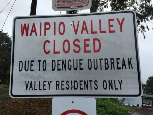 WELCOME TO THE WAIPIO VALLEY OUTLOOK - Please look, but don't touch or enter