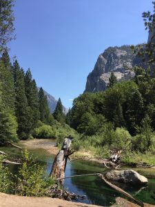 Kings Canyon from Zumwalt Meadow (I believe the mountain cliff on the right is The Sentinel)