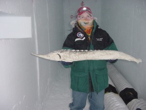 More South Pole Fun